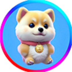 Teddy Bear INU